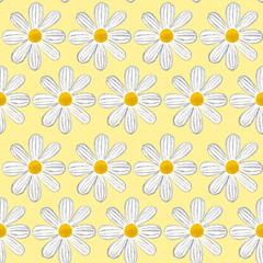 Seamless pattern with daisy on yellow background, hand painted watercolor illustration