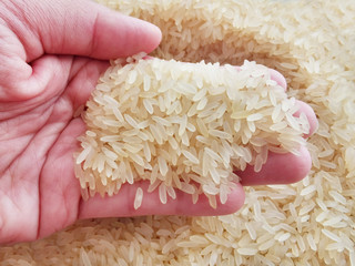 Parboiled rice in hand.  Selective focus. 