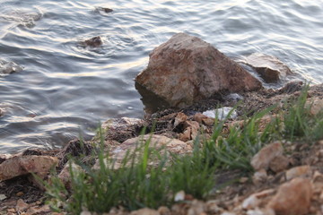 stones in water
