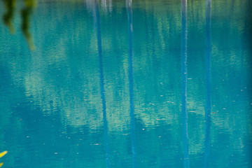 新緑を写す青い湖面　青い池