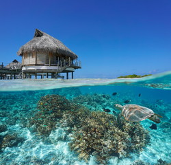 Tropical bungalow overwater and coral reef with a sea turtle underwater, split view over and under...