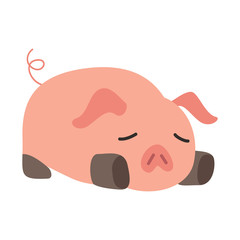 cute animal pig vector
