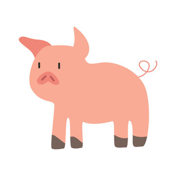 cute animal pig vector