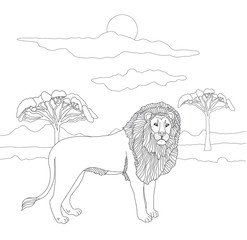 Coloring book for adults and children with a lion on the background of a landscape of sky and savannah trees. Wild cat and king of beasts in lines. Coloring book with strong animal predators