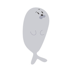 cute seal animal vector
