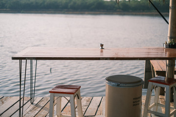Little cactus on wooden table near river with warm light Cactus on wood table with chair.