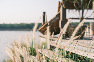 Brown grass flowers isolated from wooden cradle and river background. Wooden cradle near river.
