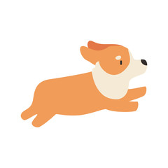 cute animal corgi dog vector