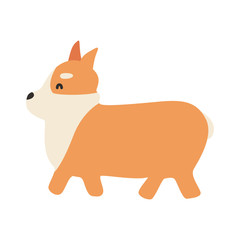 cute animal corgi dog vector