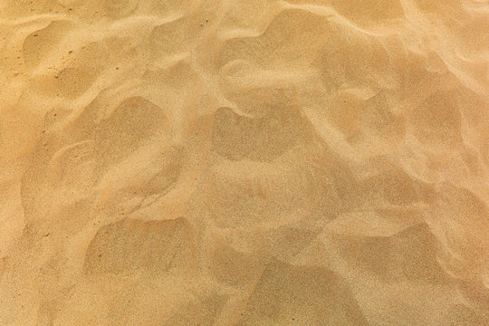 
Photos

Search by image
Sand beach backgrounds patterns