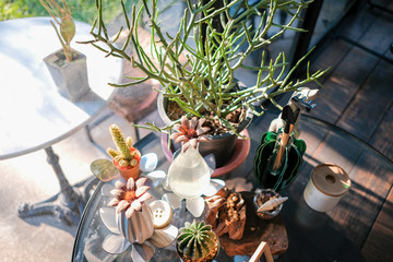 Bouquet of dried flowers and cactus on brown wooden table for decoration in cafe. Vintage decoration scene.