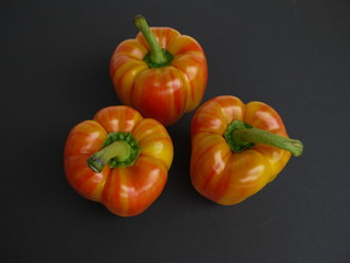 Tiger Paprika