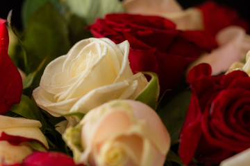 Roses close-up view from above. A bouquet of different flowers of roses. Festive bright bouquet....