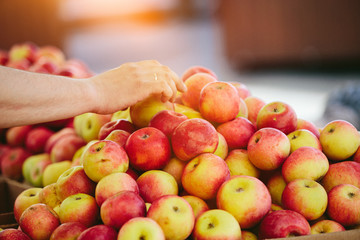 Fresh Apples at Farmers' market