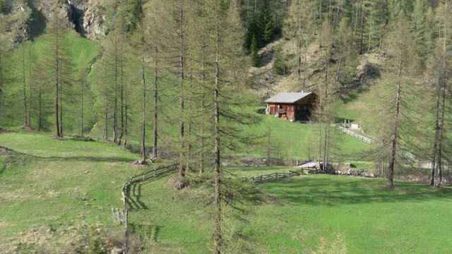 Winkeltal, Winkeltalbach, Gebirgsbach, Tal, Zentralalpen, Osttirol, Villgraten, Au&szlig;ervillgraten, Deferegger Alpen, Villgrater Berge, G&ouml;lbner, Alm, Almh&uuml;tte, Landwirtschaft, Bergbauer, Weide, F&ouml;hre, L&auml;