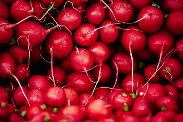 Radish at farmers market
