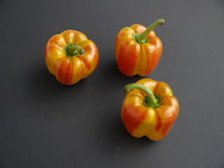 Tiger Paprika