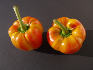 Tiger Paprika