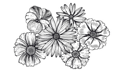 Floral composition. Flowers set. Hand drawn illustrations.