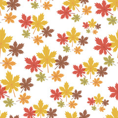 Beautiful Fall or Autumn Maple Leaf Pattern Seamless with White Background