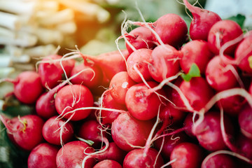 Radish at farmers market