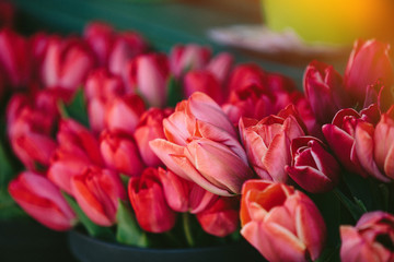 Stack of red tulips in bouquet flowers at market