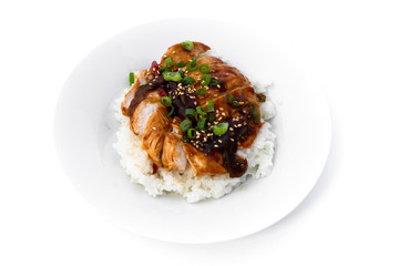 Rice covered by Teriyaki Chicken