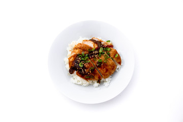Rice covered by Teriyaki Chicken