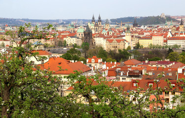 Obraz premium Beautiful view of Prague, Czech Republic