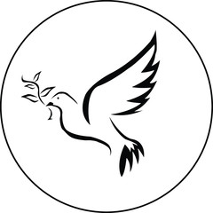dove of peace bird vector