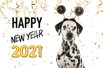 Portrait of a pretty dalmatian dog wearing a new year diadem on a white background with golden...