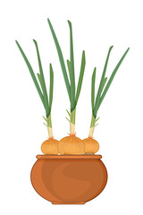 Onion in pot isolated on white background. Cultivation of green onions on the windowsill. Sprout brown onion growing in the clay pot. Homegrown seedlings. Spring work. Food spice. Stock vector