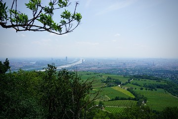 Ausblick auf .Wien