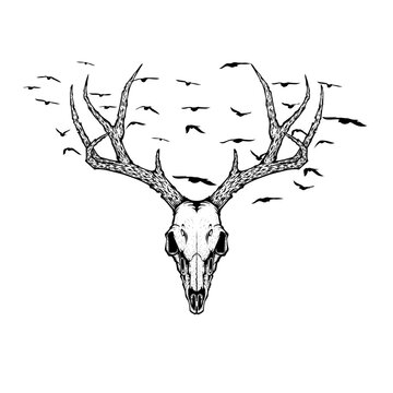 deer skull and bird fly silhouette vector illustration for tattoo, printing on t-shirts, posters and other items. animal skeleton drawing. wildlife tattoo symbol design.