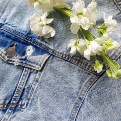 Textile denim background and flowering white branch. Pocket blue denim jacket. This is the place for your beauty products and text. View from above.