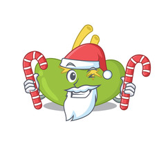 Friendly spleen dressed in Santa Cartoon character with Christmas candies