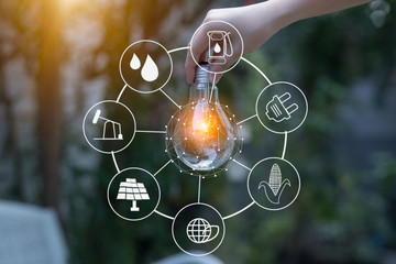 Light bulb Energy saving green nature background