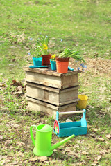 Colorful flower pots and garden tools. Spring planting and gardening.