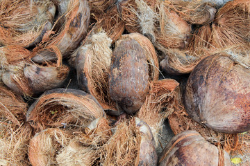 top view of the pile of coconut coir