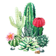 Composition of watercolor cactus plants and succulents © nurofina