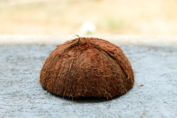 coconut shell cut in half