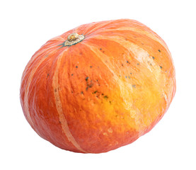 Pumpkin on white background