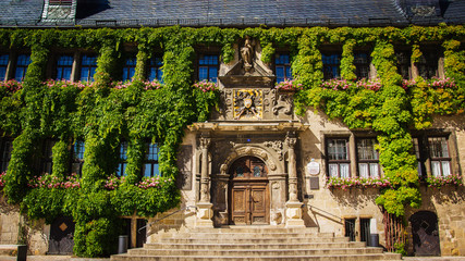 Eingang Rathaus von Quedlinburg mit Efeu bewachsen 