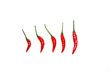 Red chilli on  white background using fresh red., It has spicy , food concept,Top view.