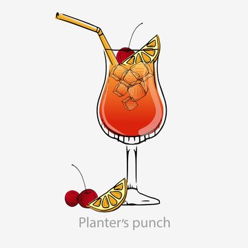 Cocktail Planter Punch. Dark Orange Cocktail Cherry Straw Ice Cube Lemon Slice Long Drink Alcoholic Dark Rum Sugar Syrup Orange Juice Grenadine Served Goblet Vector Glass Category Unforgettable.