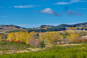 Obraz premium Autumn on the Sila Mountains