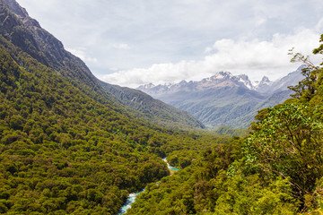 Landscapes of Fiordland National Park. A river in the middle of a dense forest below. South Island, New Zealand