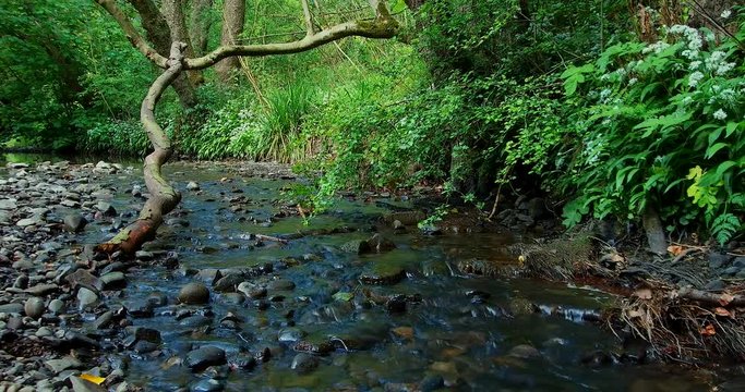 The stream gently flows over the rocks and pebbles in Borsdane Woods Local Nature Reserve in Hindley, near Wigan, UK. 