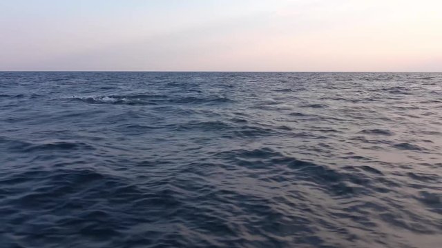 Pitching a boat in the open blue sea at sunset or at dawn. Two dolphins jump out of the water and disappear in the waves. The begining of storm