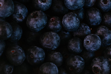 ripe blueberry close-up